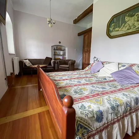 Zamek Nemilkov شقة Velhartice